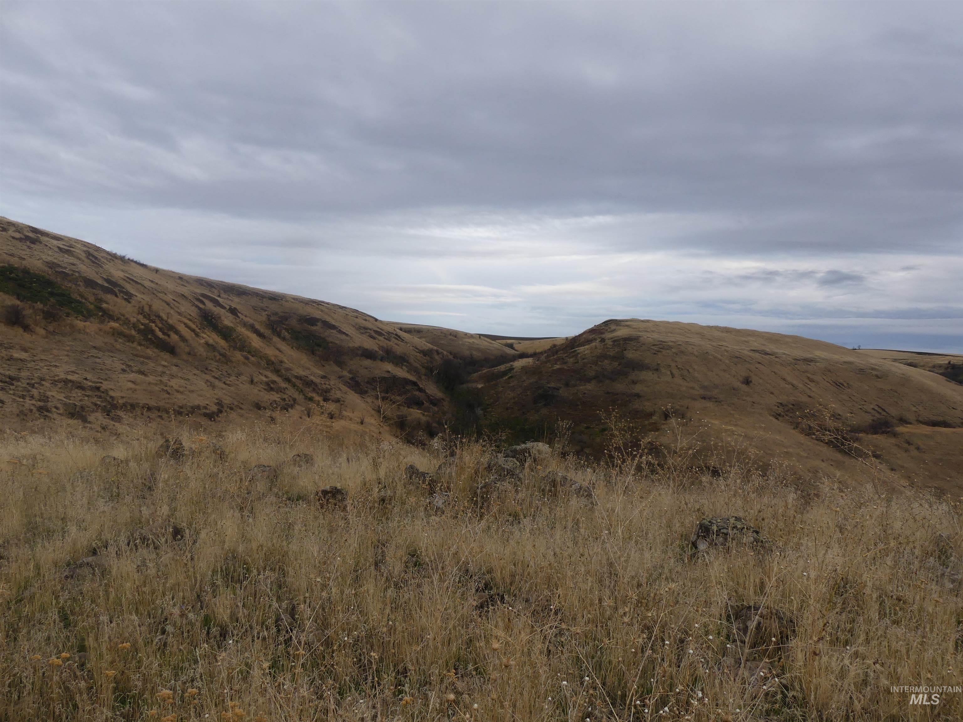 17550 Stoney Point Road Juliaetta, ID 83535 - Photo 14 of 37 Mountain view