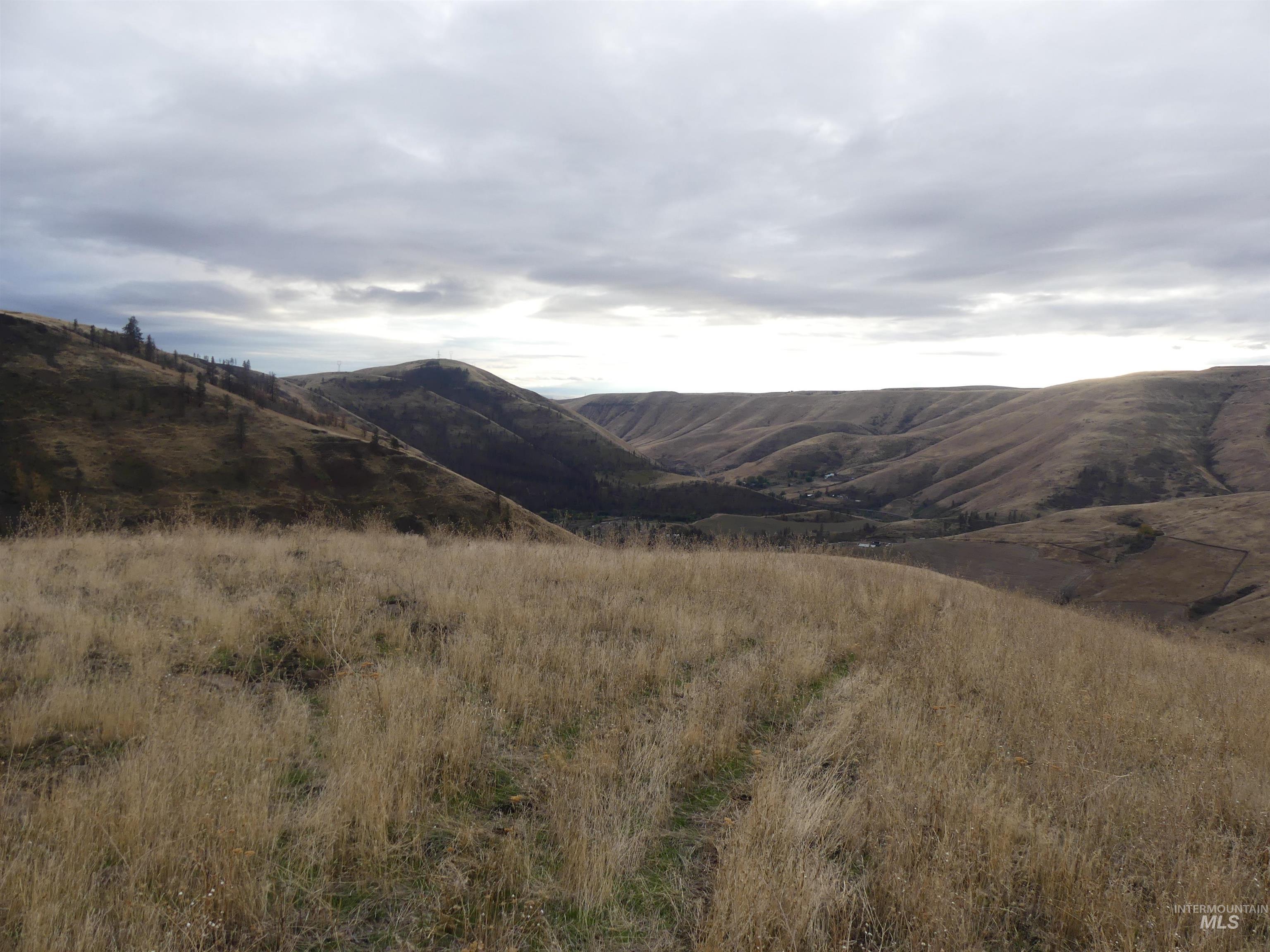 17550 Stoney Point Road Juliaetta, ID 83535 - Photo 16 of 37 Mountain view