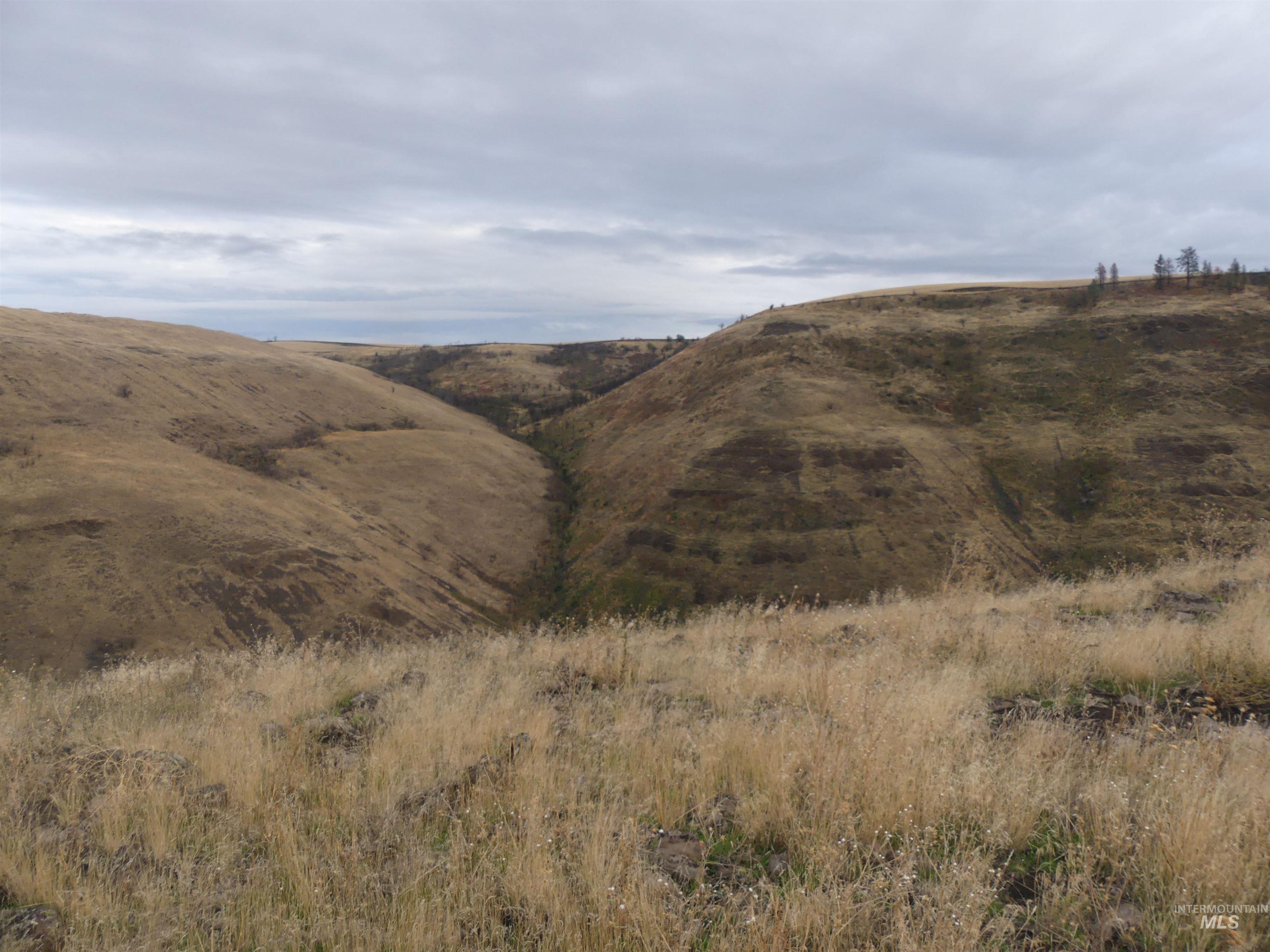 17550 Stoney Point Road Juliaetta, ID 83535 - Photo 17 of 37 View of mountain backdrop