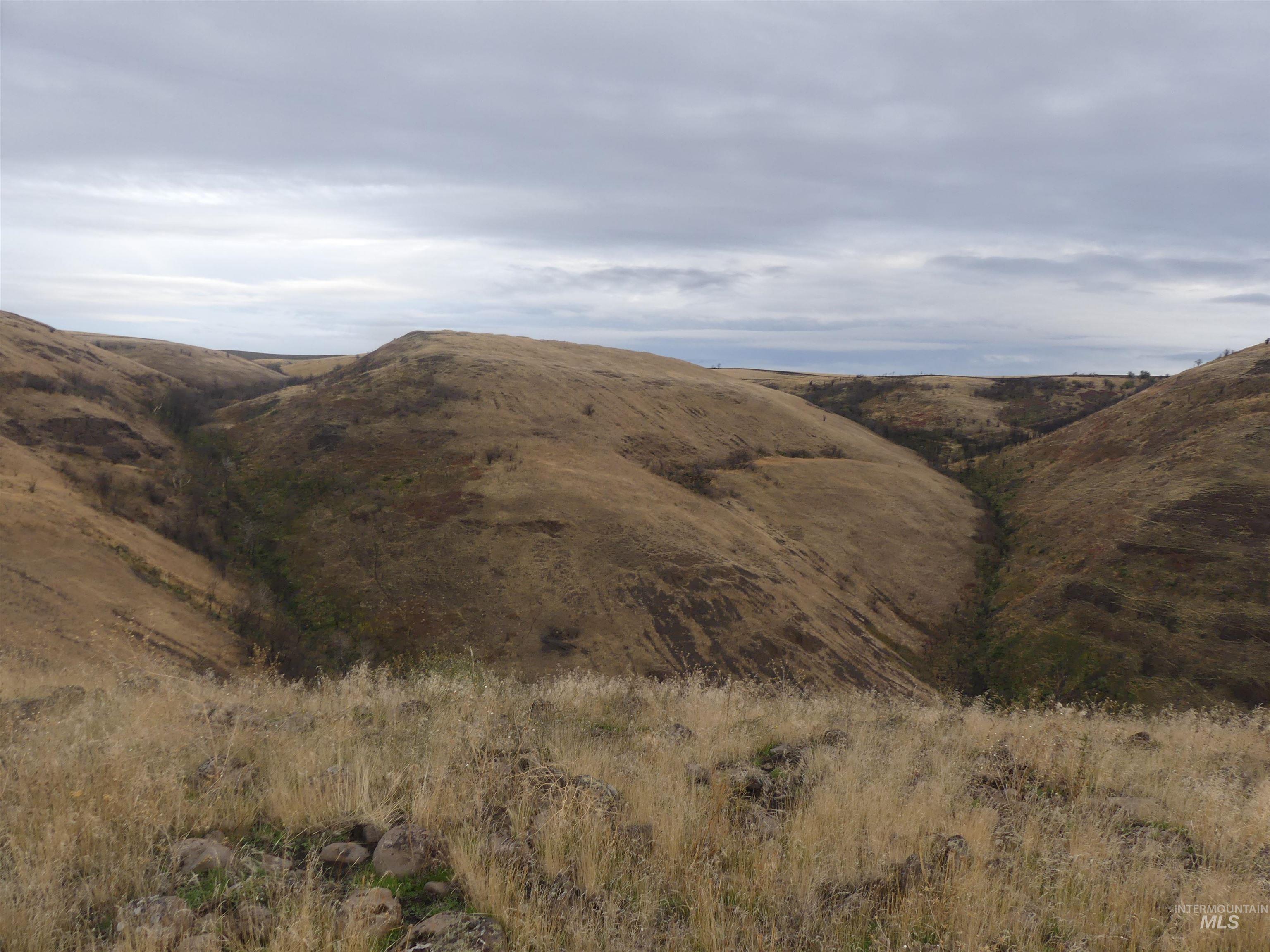 17550 Stoney Point Road Juliaetta, ID 83535 - Photo 18 of 37 View of mountain background