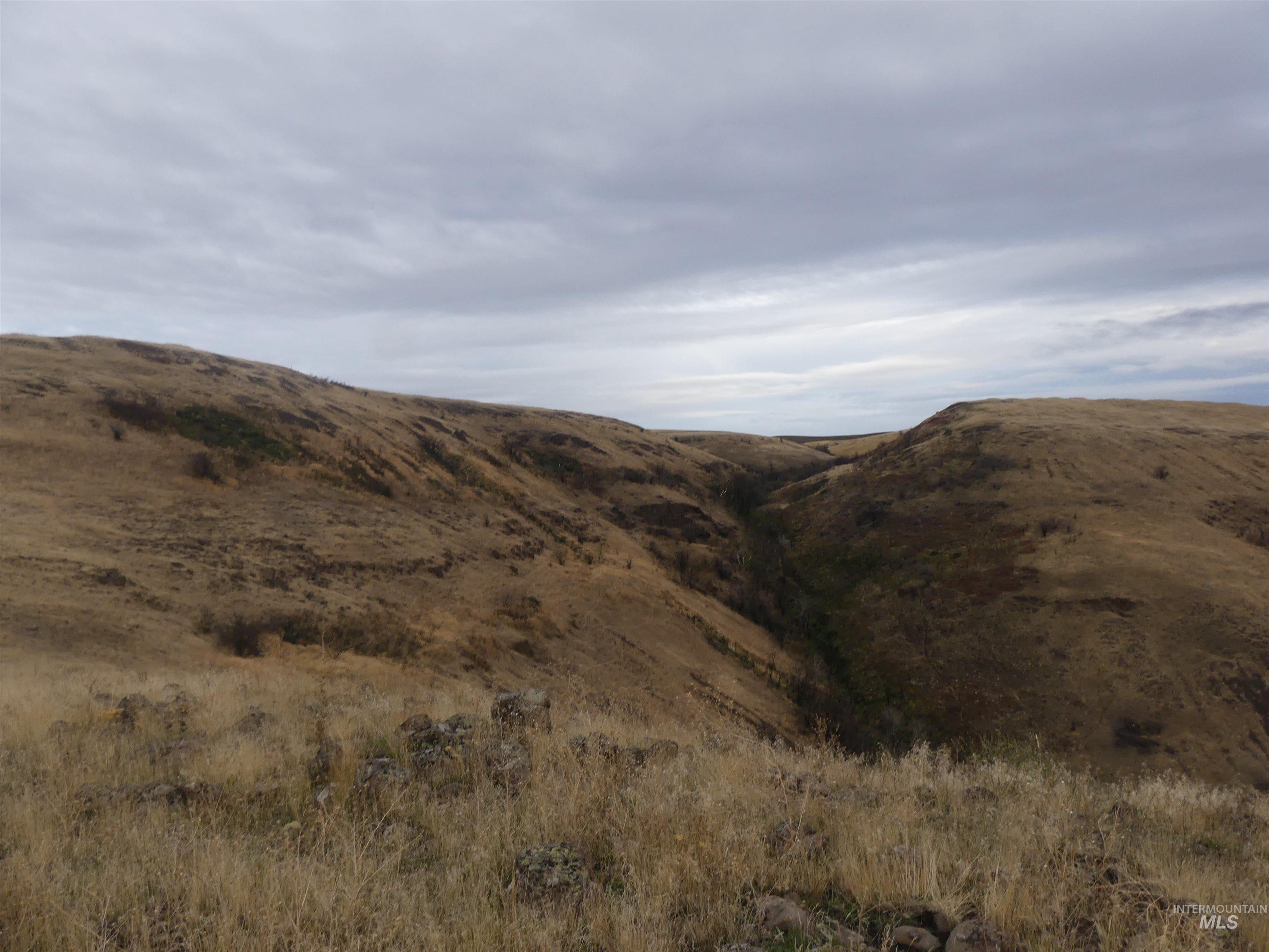 17550 Stoney Point Road Juliaetta, ID 83535 - Photo 19 of 37 View of mountain background