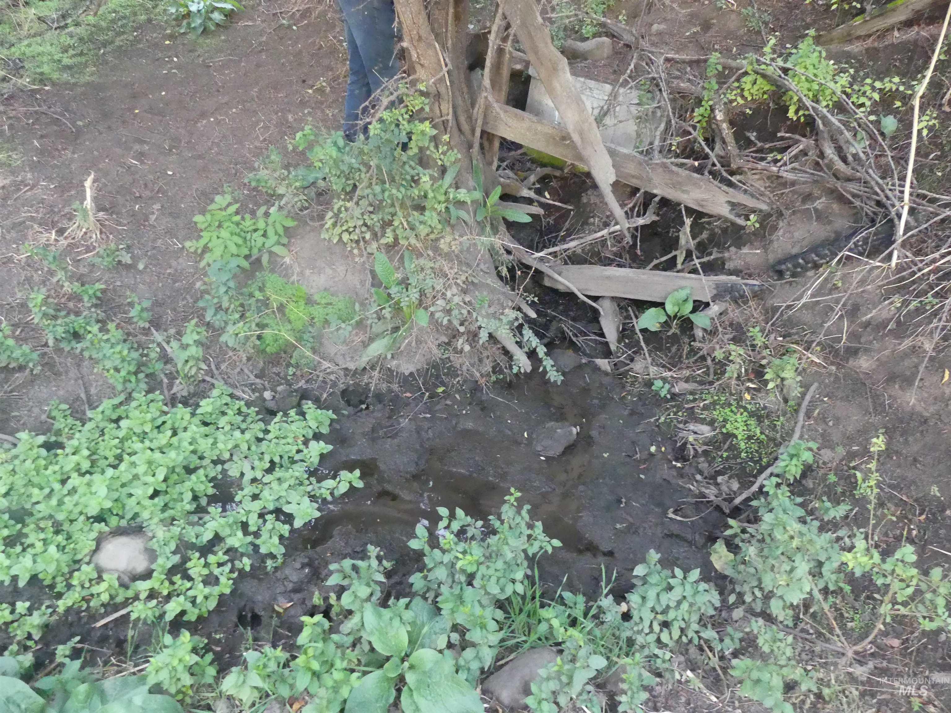17550 Stoney Point Road Juliaetta, ID 83535 - Photo 20 of 37 Exterior view