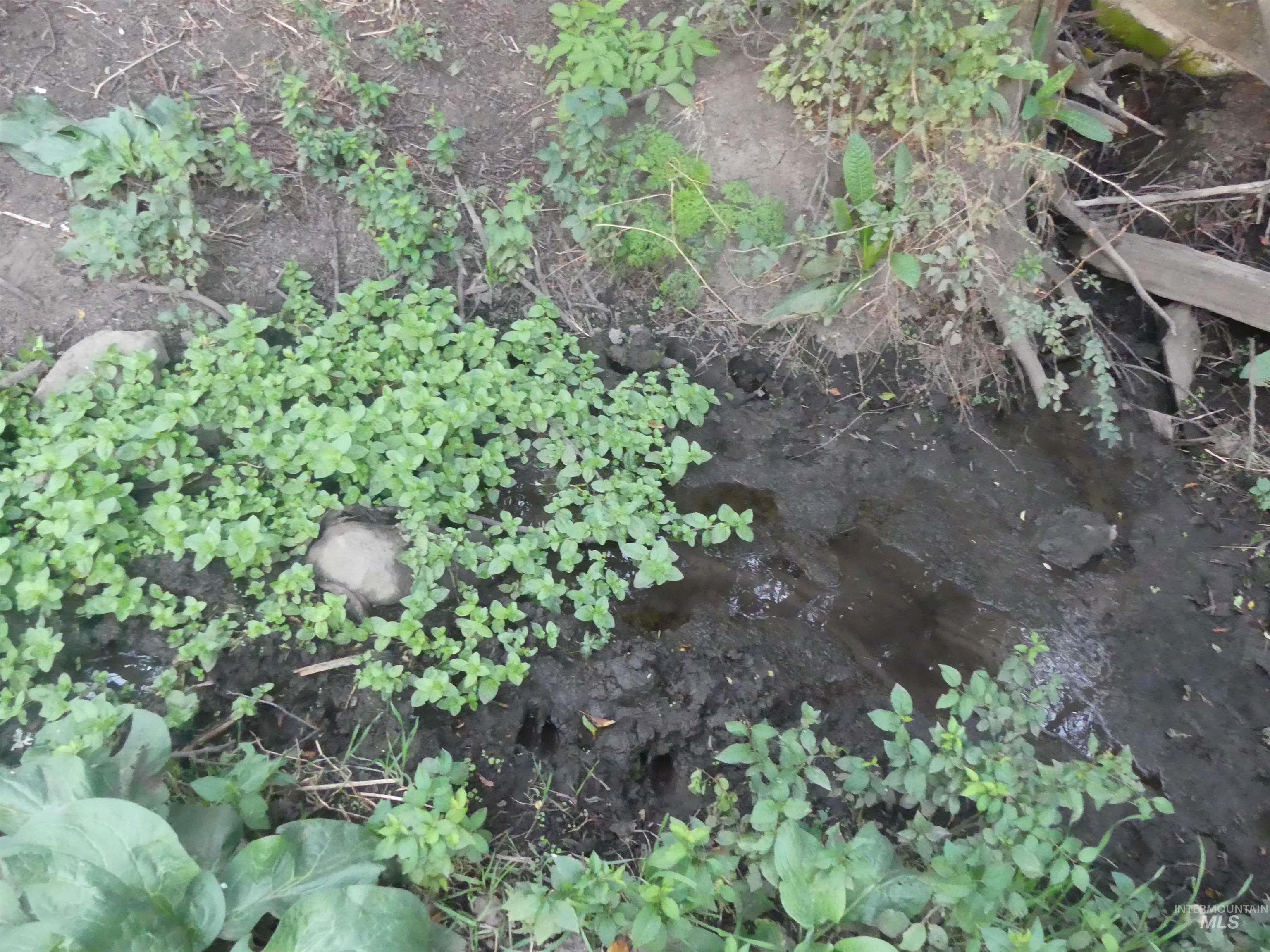 17550 Stoney Point Road Juliaetta, ID 83535 - Photo 23 of 37 Exterior view