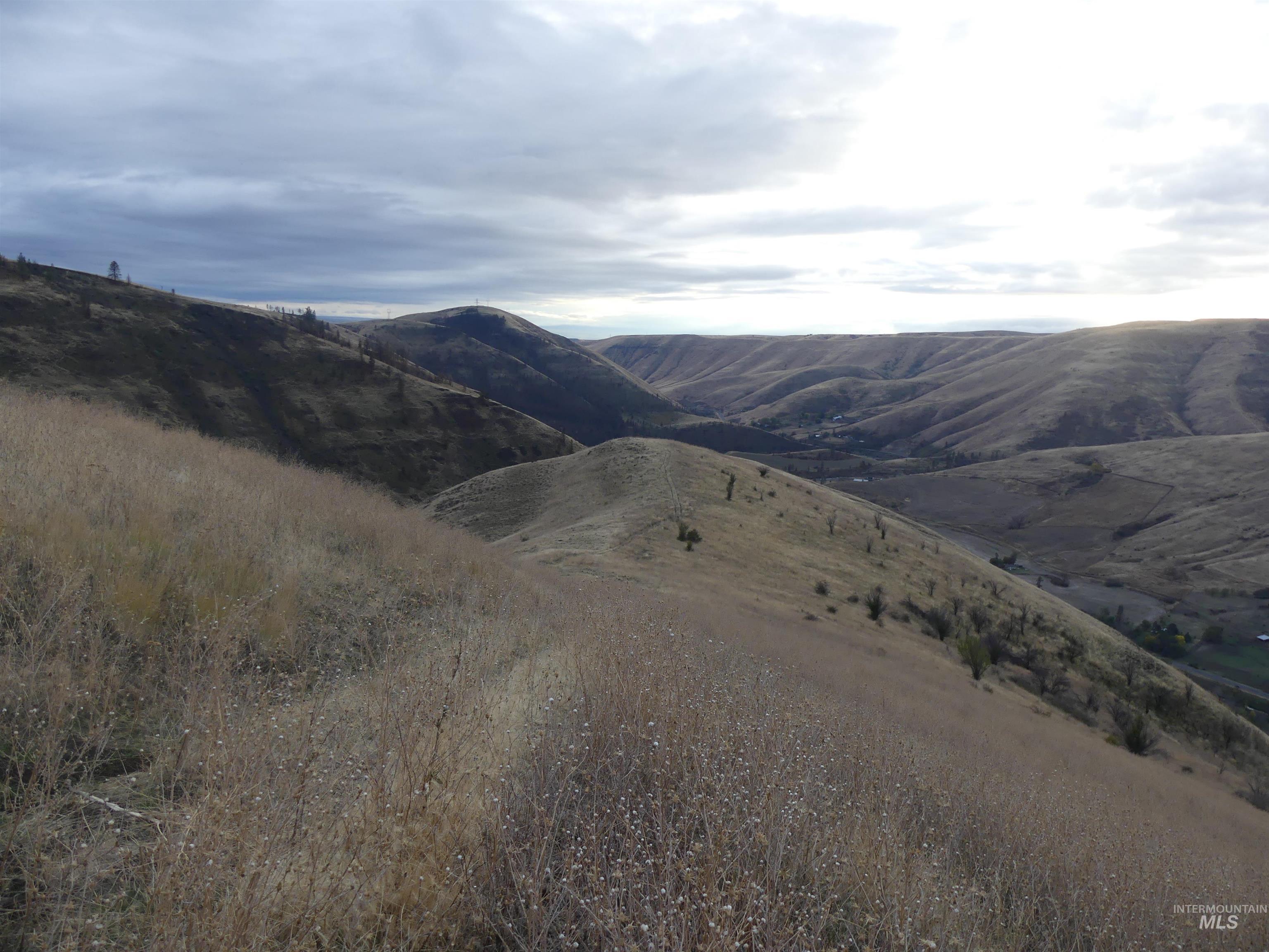 17550 Stoney Point Road Juliaetta, ID 83535 - Photo 29 of 37 View of mountain backdrop