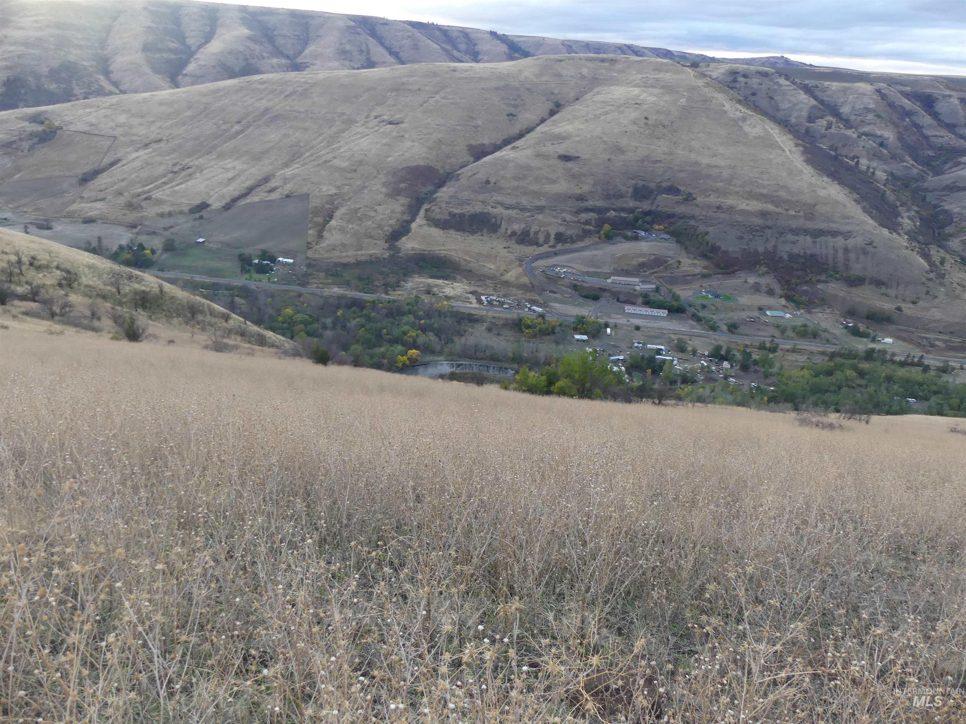 17550 Stoney Point Road Juliaetta, ID 83535 - Photo 30 of 37 View of mountain background
