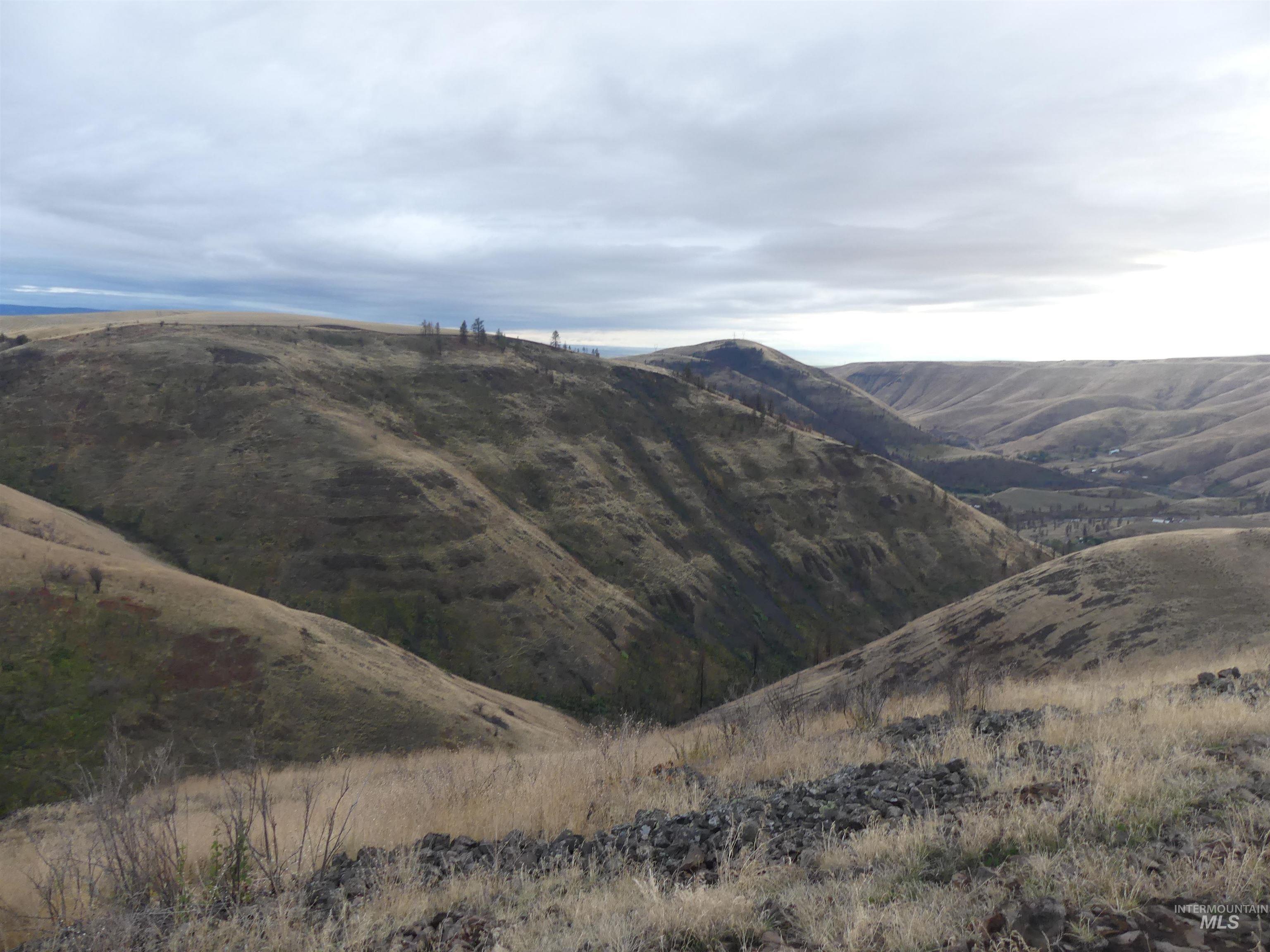 17550 Stoney Point Road Juliaetta, ID 83535 - Photo 34 of 37 View of mountain backdrop