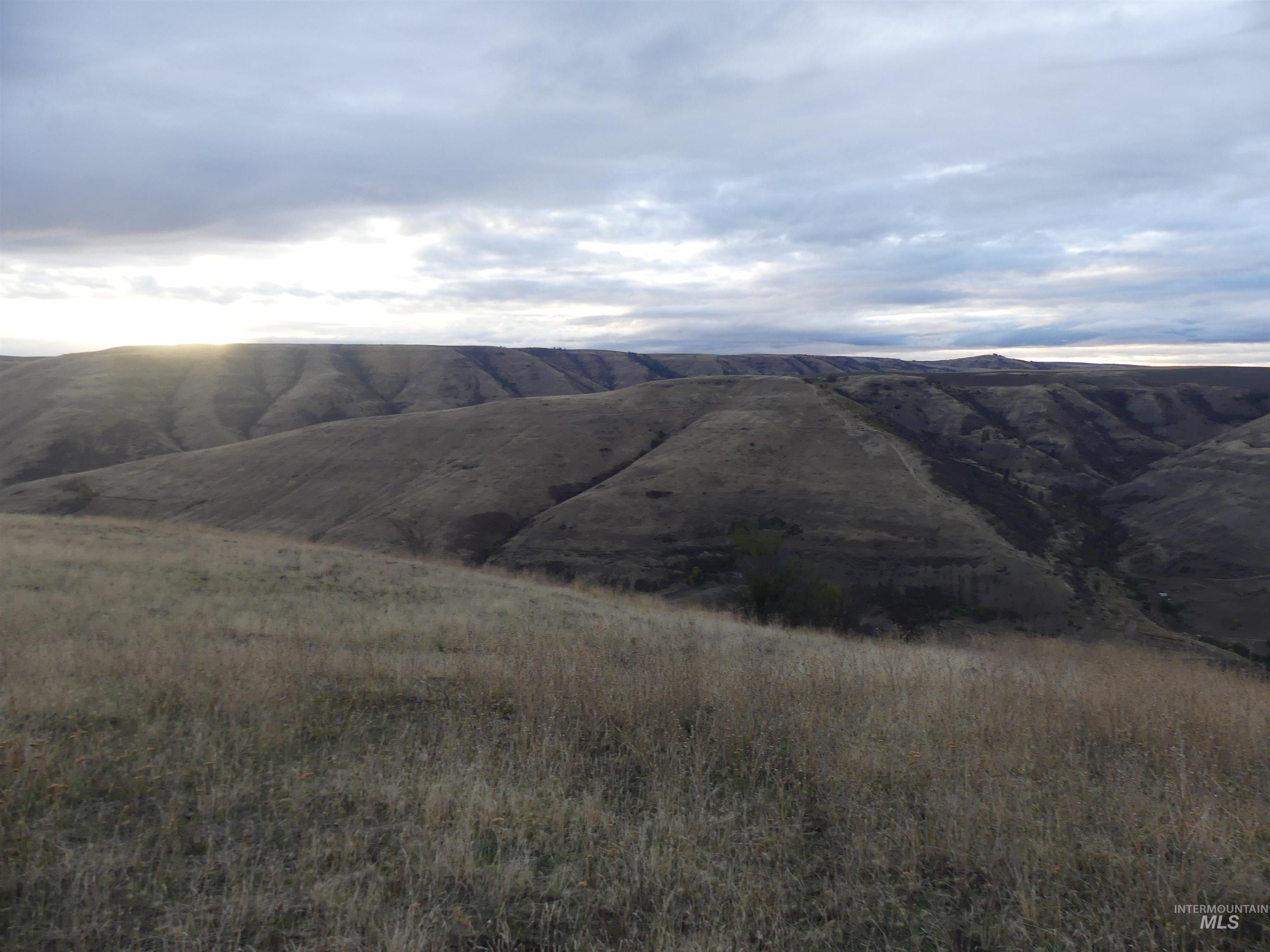 17550 Stoney Point Road Juliaetta, ID 83535 - Photo 36 of 37 View of mountain background