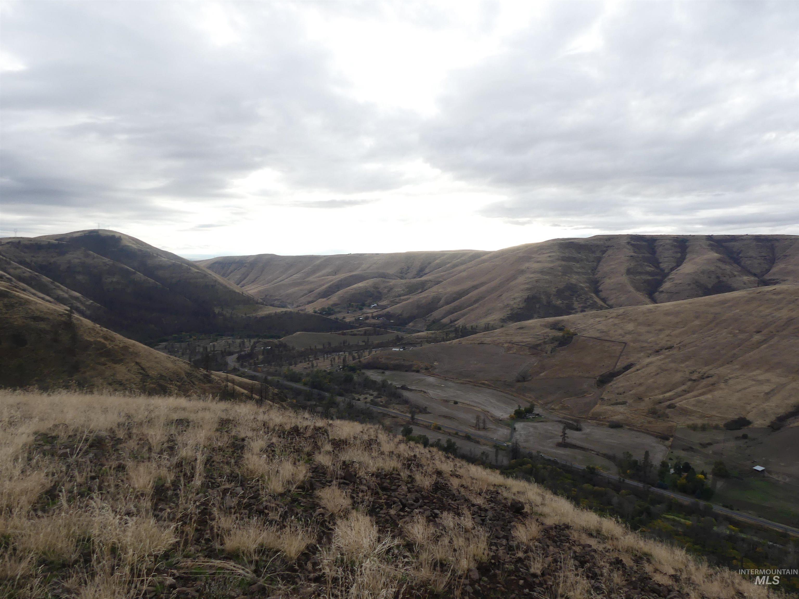17550 Stoney Point Road Juliaetta, ID 83535 - Photo 6 of 37 Mountain view