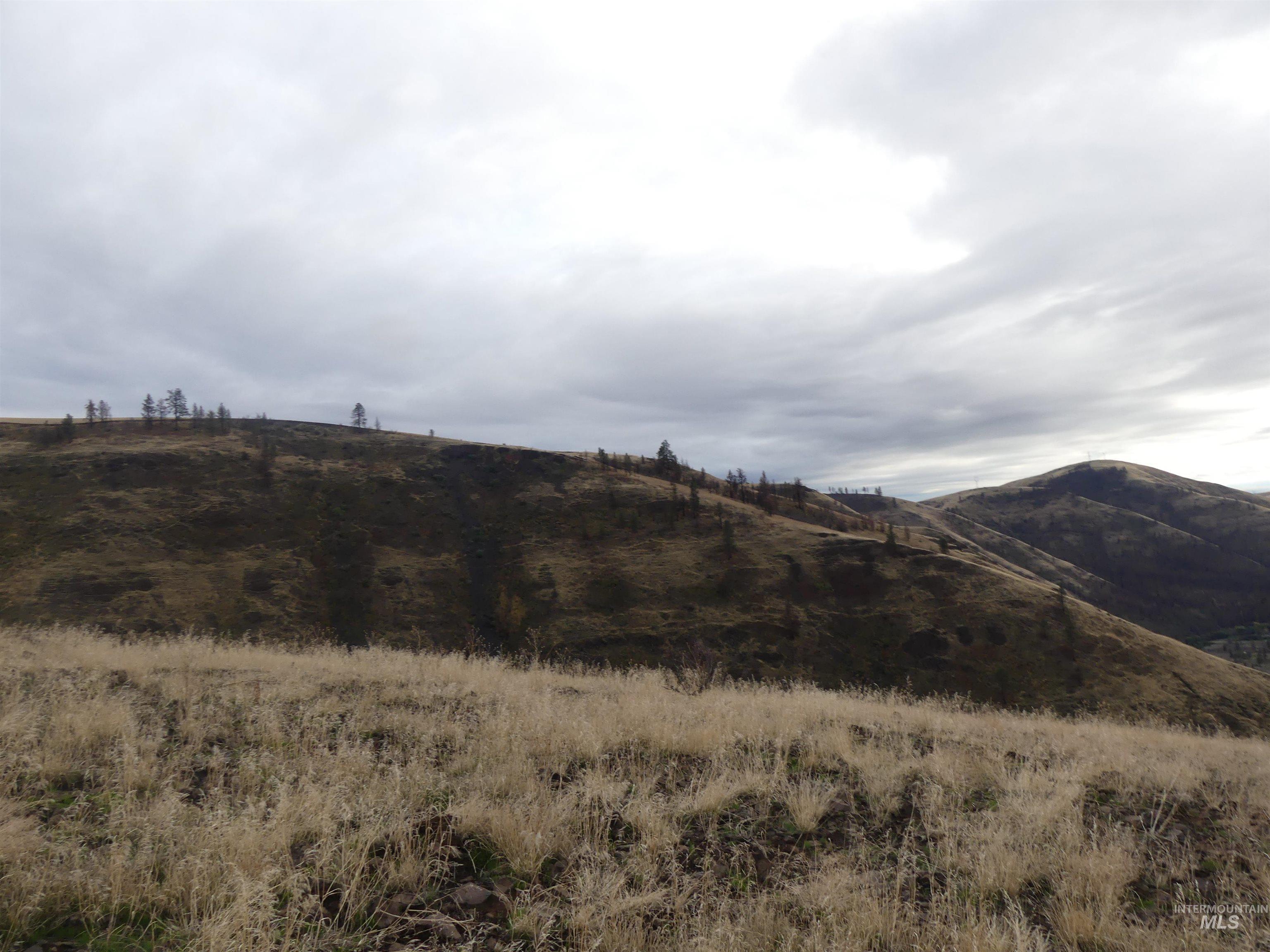 17550 Stoney Point Road Juliaetta, ID 83535 - Photo 7 of 37 View of mountain background