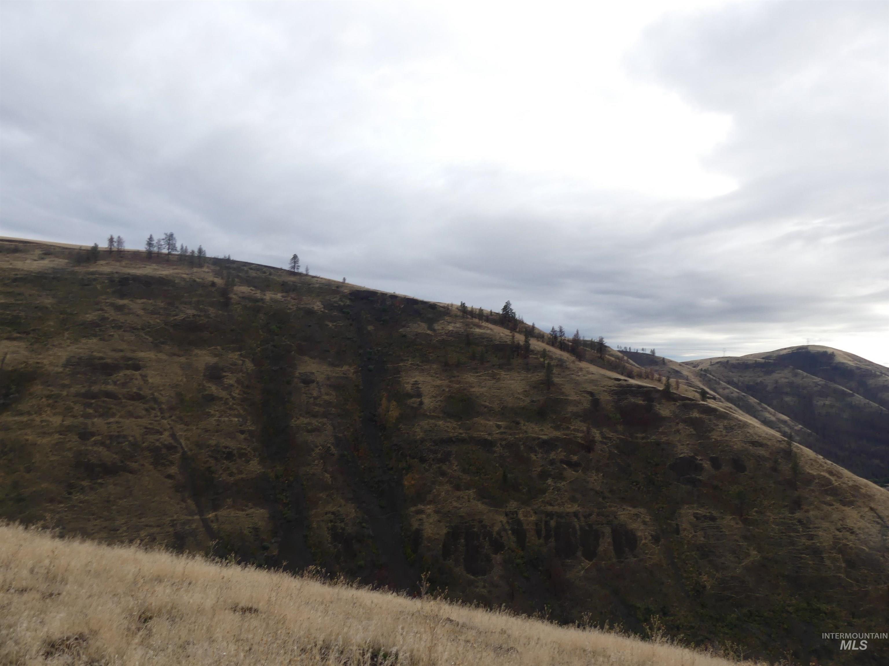 17550 Stoney Point Road Juliaetta, ID 83535 - Photo 8 of 37 Mountain view