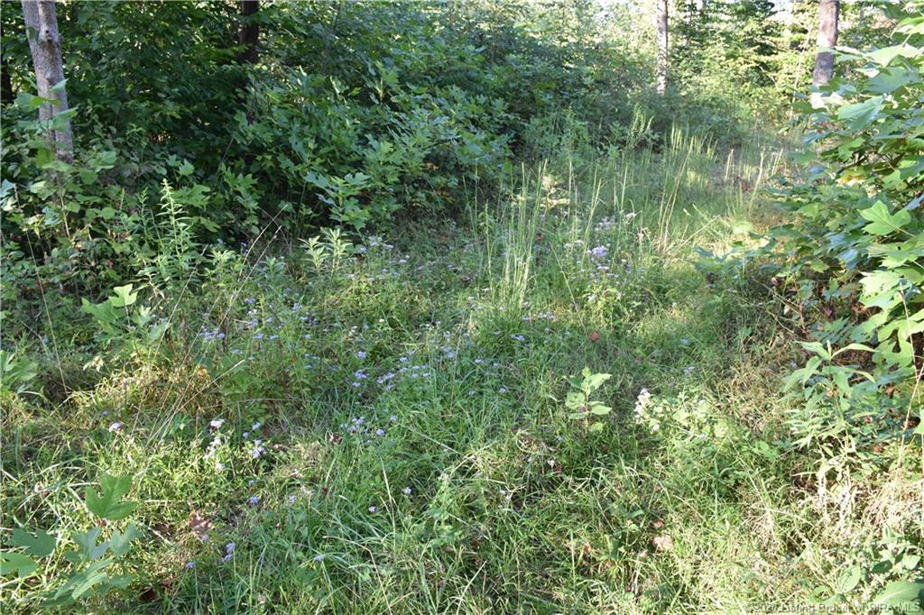 Becks Mill Road Salem, IN 47167 - Photo 1 of 10 Gallery Image 1