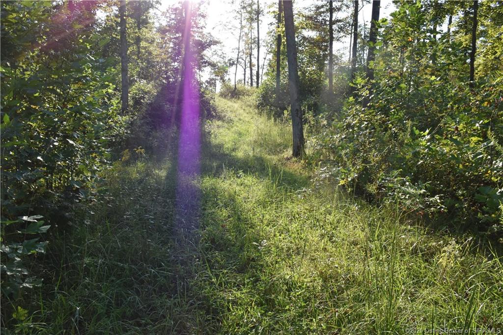Becks Mill Road Salem, IN 47167 - Photo 3 of 10 Gallery Image 3