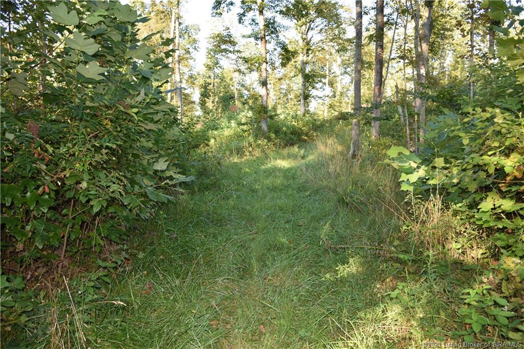 Becks Mill Road Salem, IN 47167 - Photo 4 of 10 Gallery Image 4