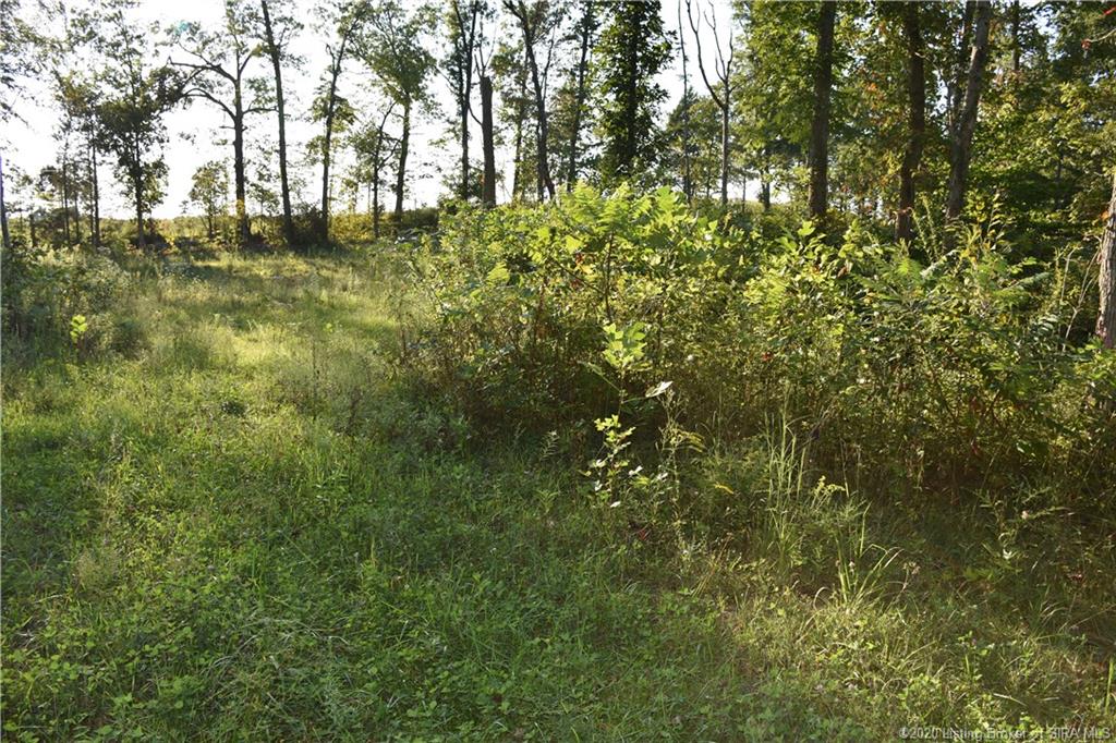 Becks Mill Road Salem, IN 47167 - Photo 5 of 10 Gallery Image 5