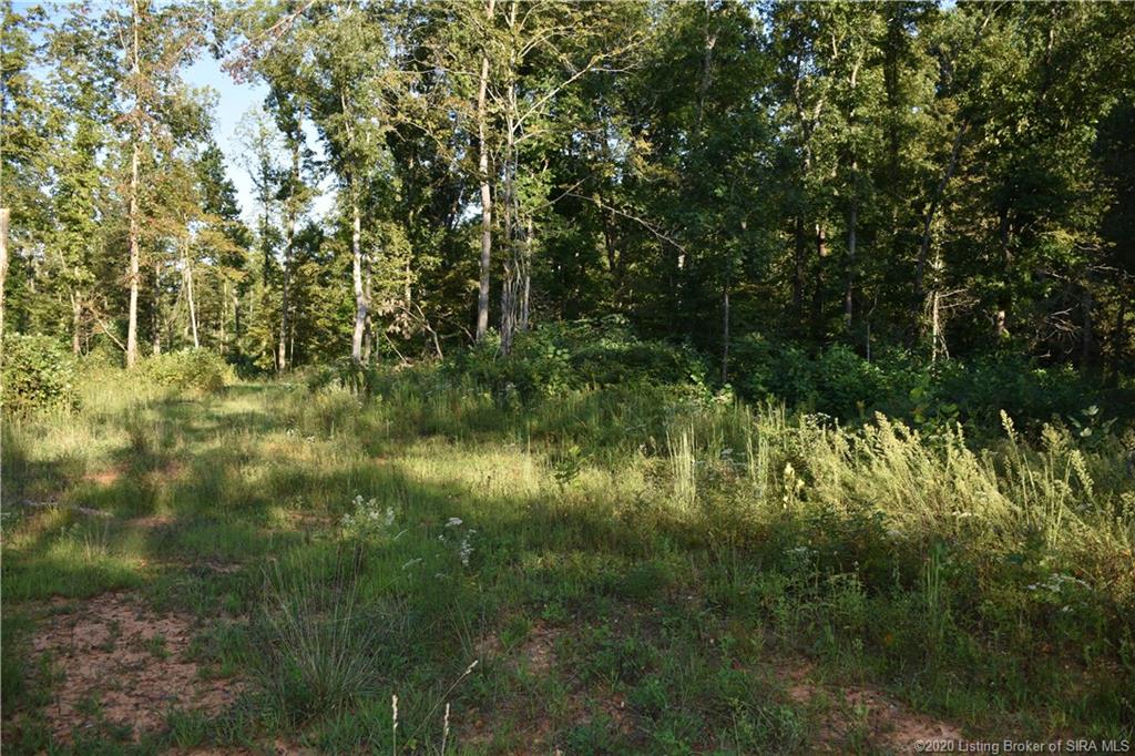Becks Mill Road Salem, IN 47167 - Photo 6 of 10 Gallery Image 6
