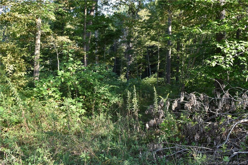 Becks Mill Road Salem, IN 47167 - Photo 7 of 10 Gallery Image 7