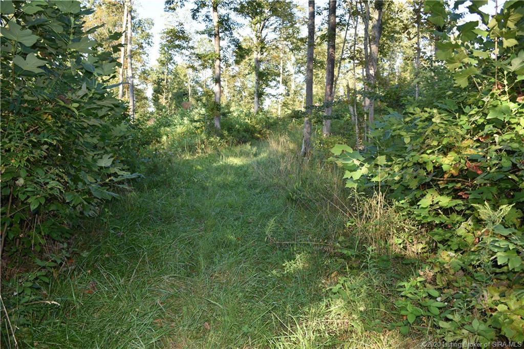 Becks Mill Road Salem, IN 47167 - Photo 8 of 10 Gallery Image 8