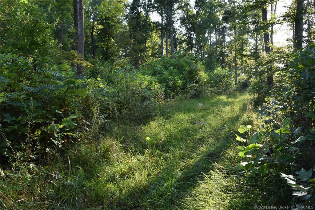 Becks Mill Road Salem, IN 47167 - Photo 9 of 10 Gallery Image 9