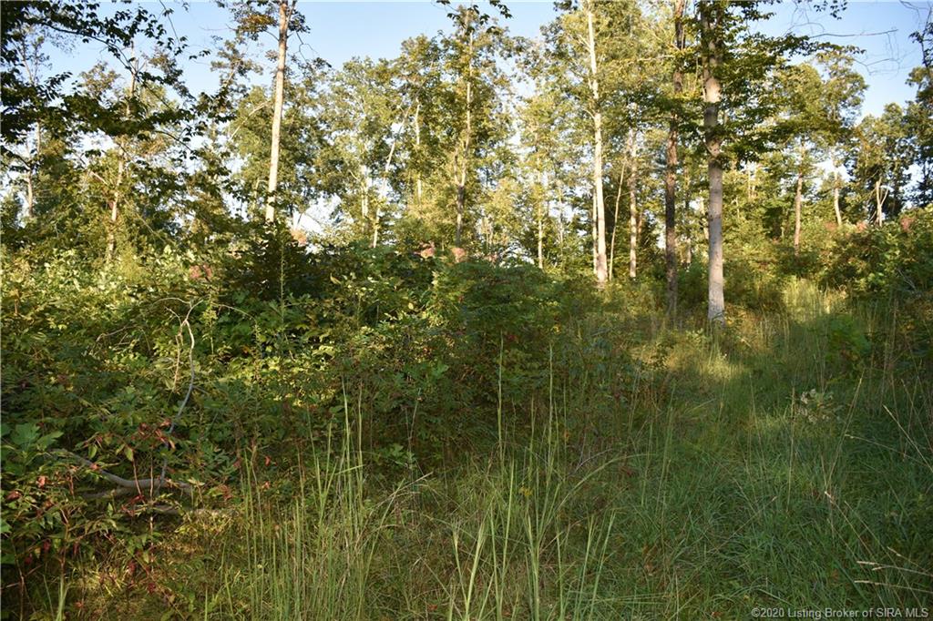 Becks Mill Road Salem, IN 47167 - Photo 10 of 10 Gallery Image 10