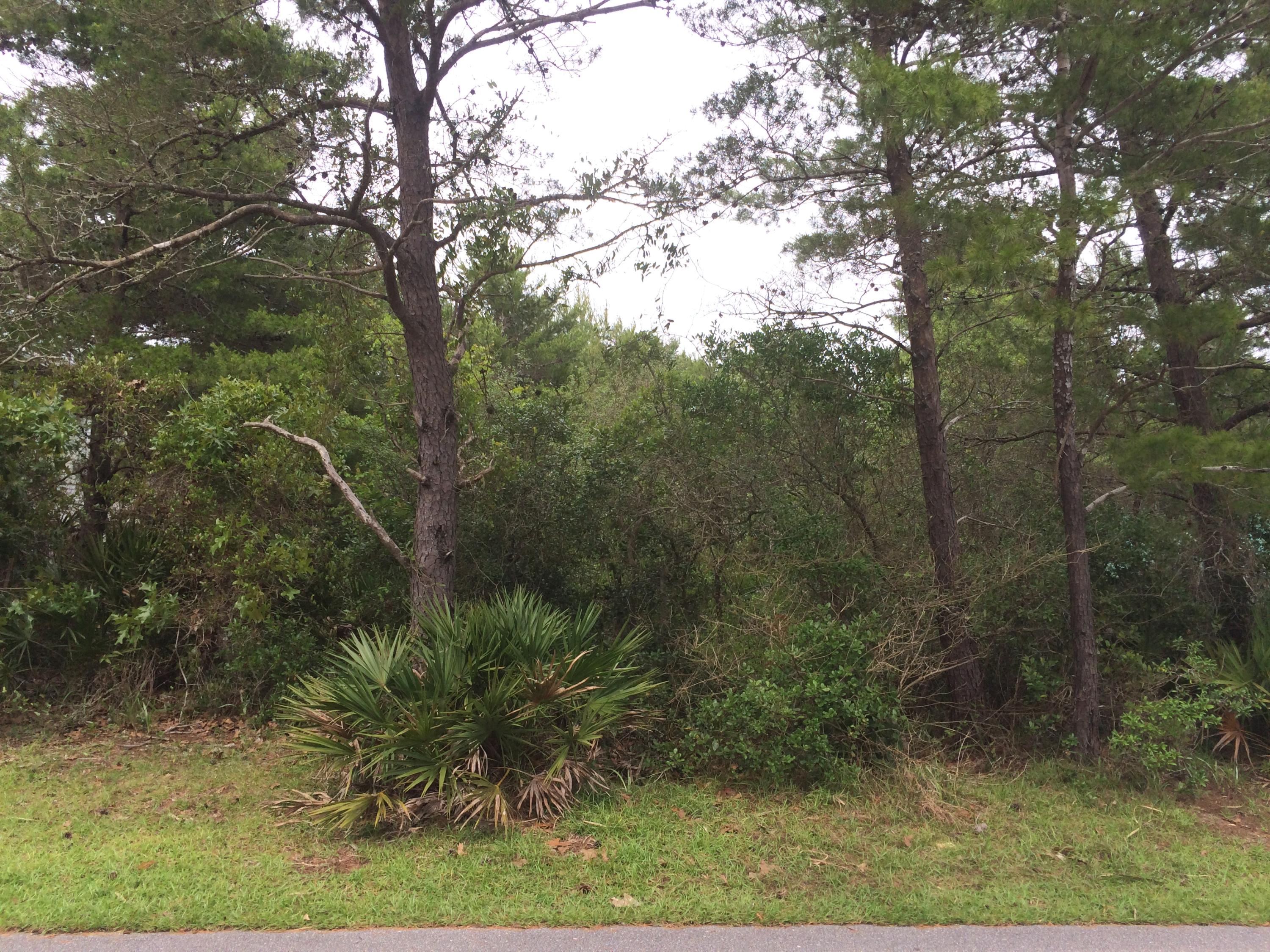 Lot D-4 Lot D-4 Crescent Road Santa Rosa Beach, FL 32459 - Photo 2 of 14 a view of a yard