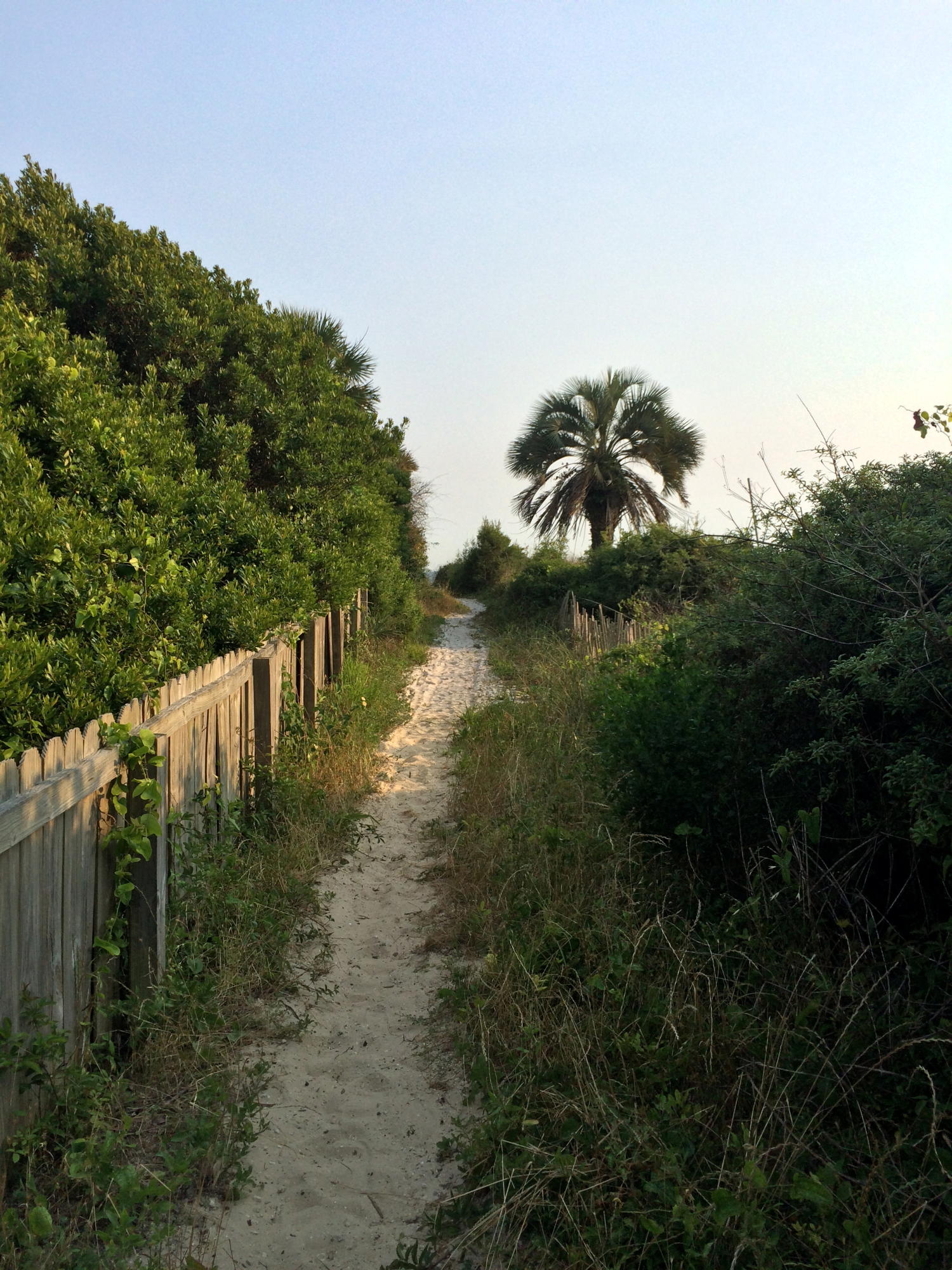 Lot D-4 Lot D-4 Crescent Road Santa Rosa Beach, FL 32459 - Photo 12 of 14 a picture of lake view