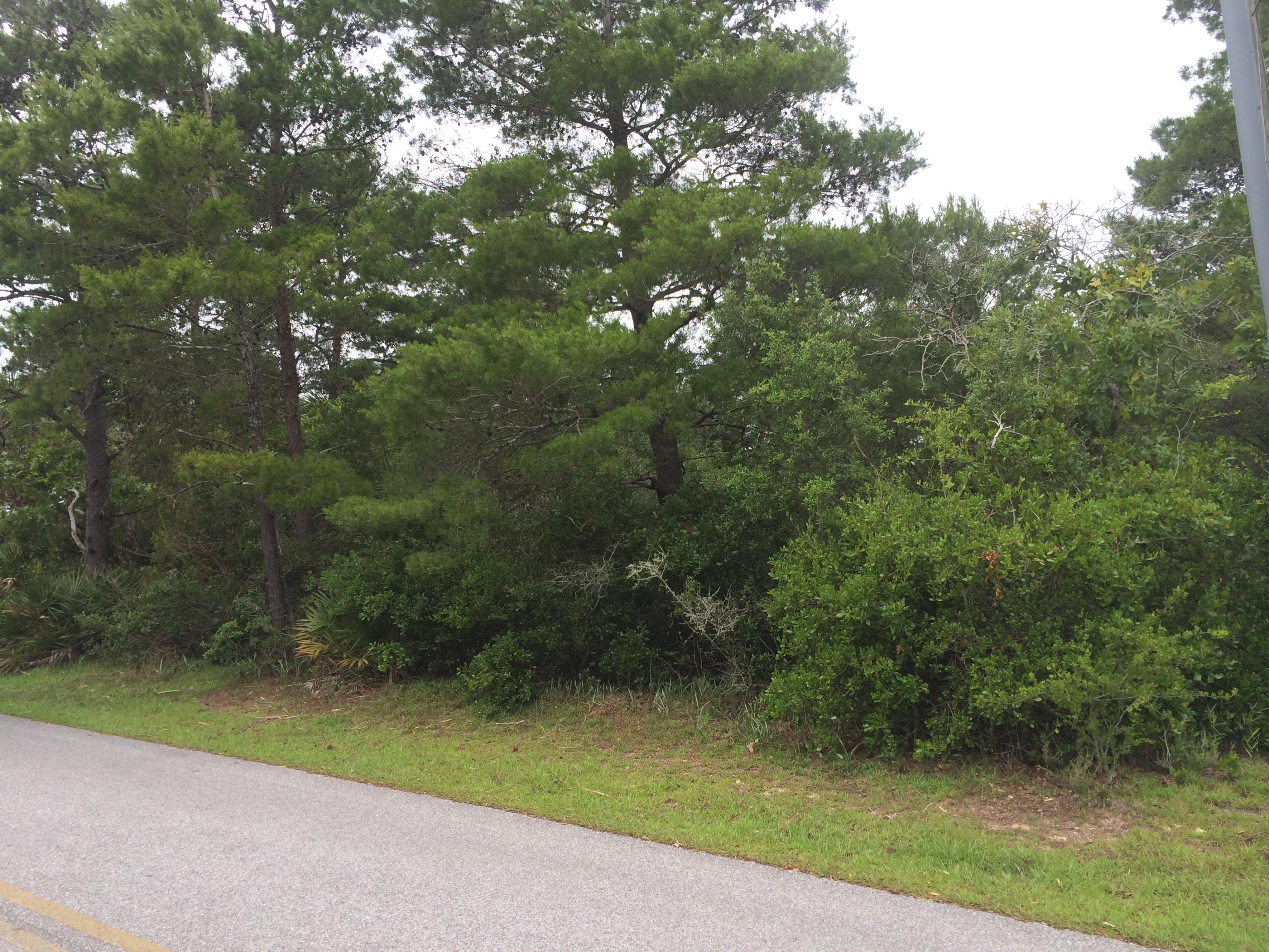 Lot D-4 Lot D-4 Crescent Road Santa Rosa Beach, FL 32459 - Photo 7 of 14 a view of a yard with plants