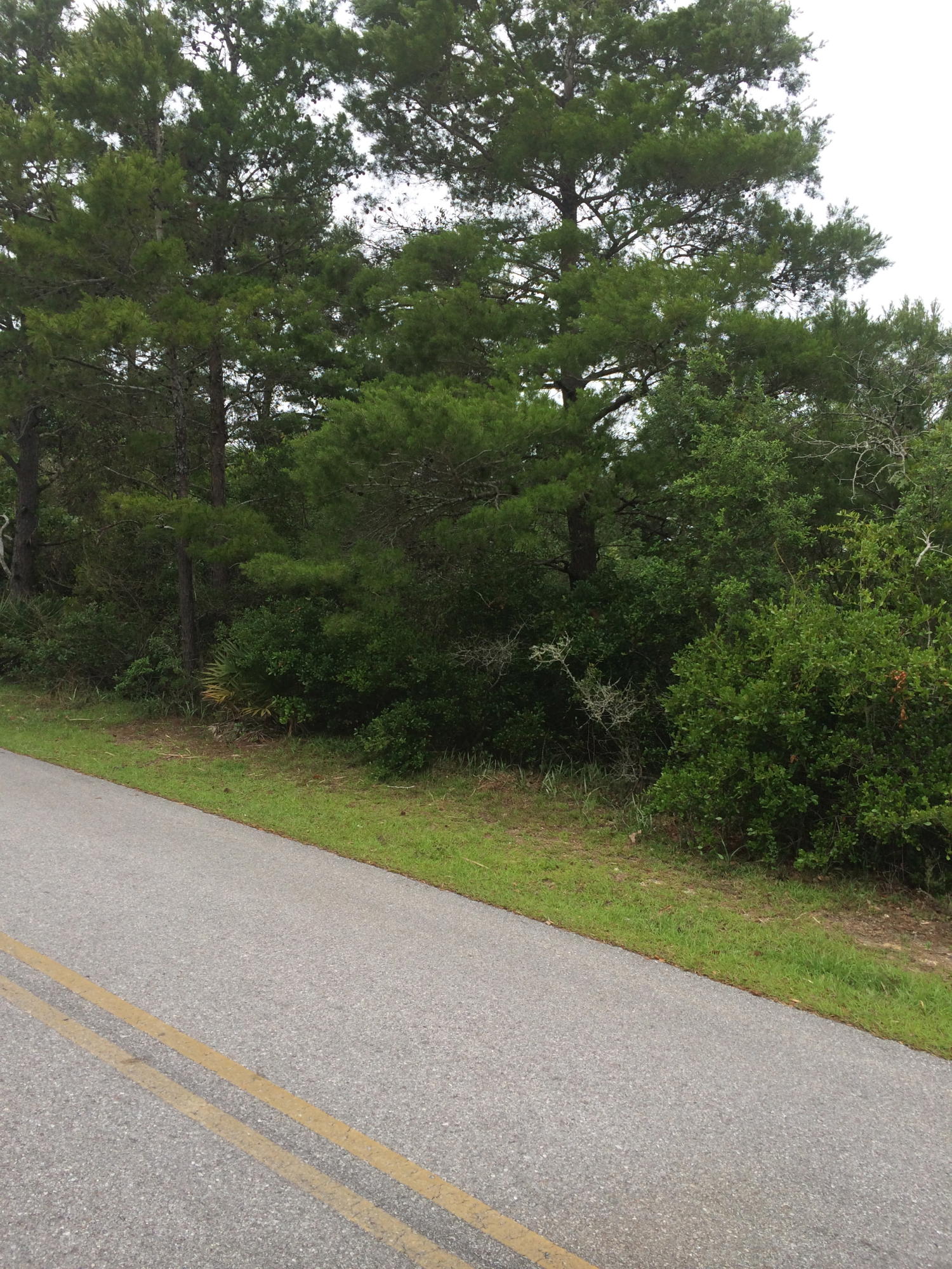 Lot D-4 Lot D-4 Crescent Road Santa Rosa Beach, FL 32459 - Photo 8 of 14 a view of a yard