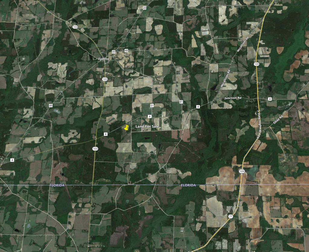 L1 New Hinson Road Slocomb, AL 36375 - Photo 29 of 30