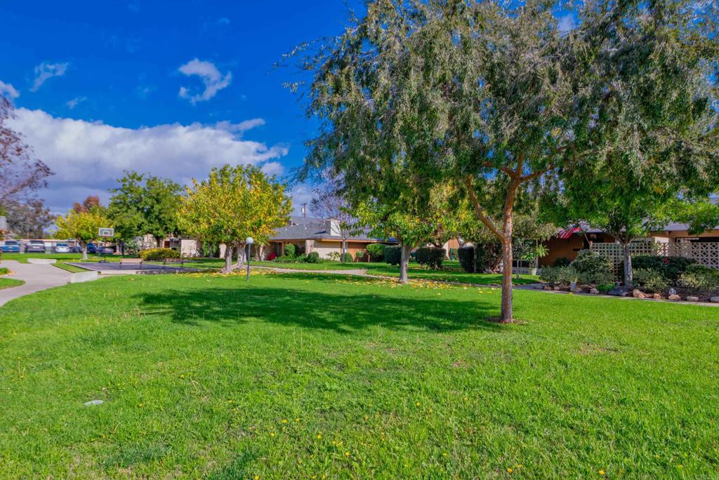 514 Shady Lane, Unit C El Cajon, CA 92021 - Photo 29 of 30 a view of yard with green space