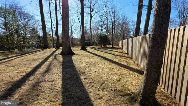 a view of a yard with trees