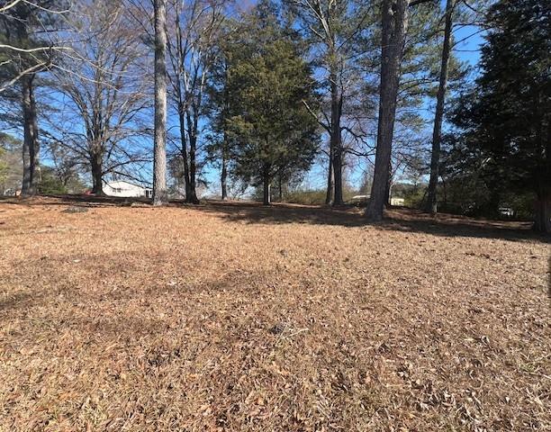 0 Westminster Way Dallas, GA 30132 - Photo 4 of 13