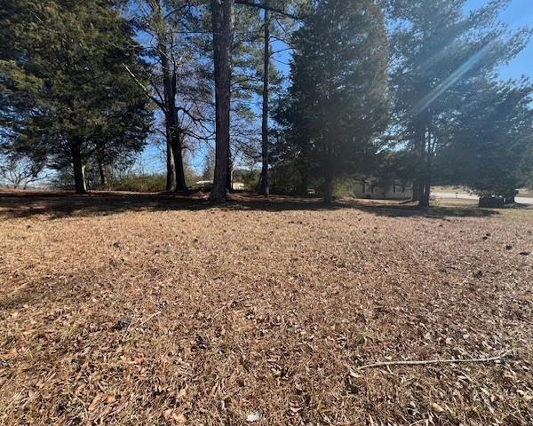 0 Westminster Way Dallas, GA 30132 - Photo 5 of 13