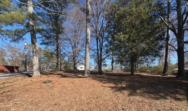 0 Westminster Way Dallas, GA 30132 - Photo 6 of 13