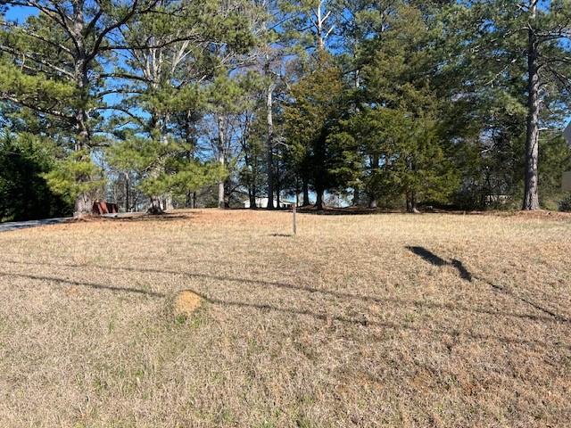 0 Westminster Way Dallas, GA 30132 - Photo 7 of 13