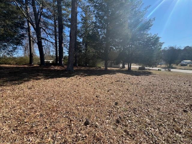 0 Westminster Way Dallas, GA 30132 - Photo 8 of 13