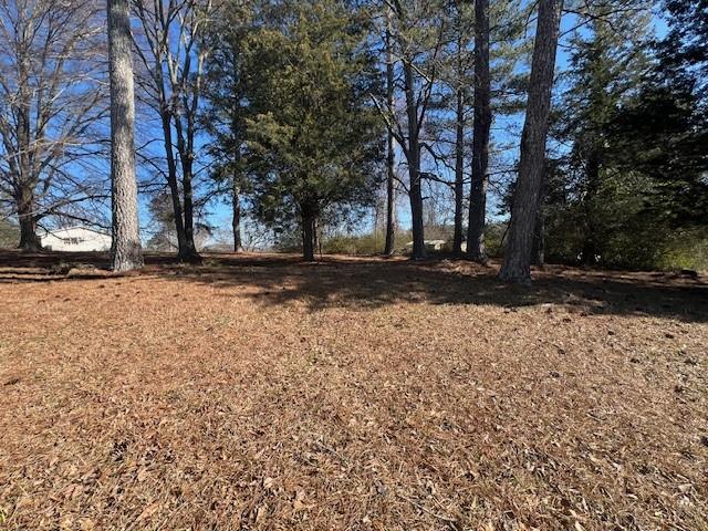 0 Westminster Way Dallas, GA 30132 - Photo 9 of 13