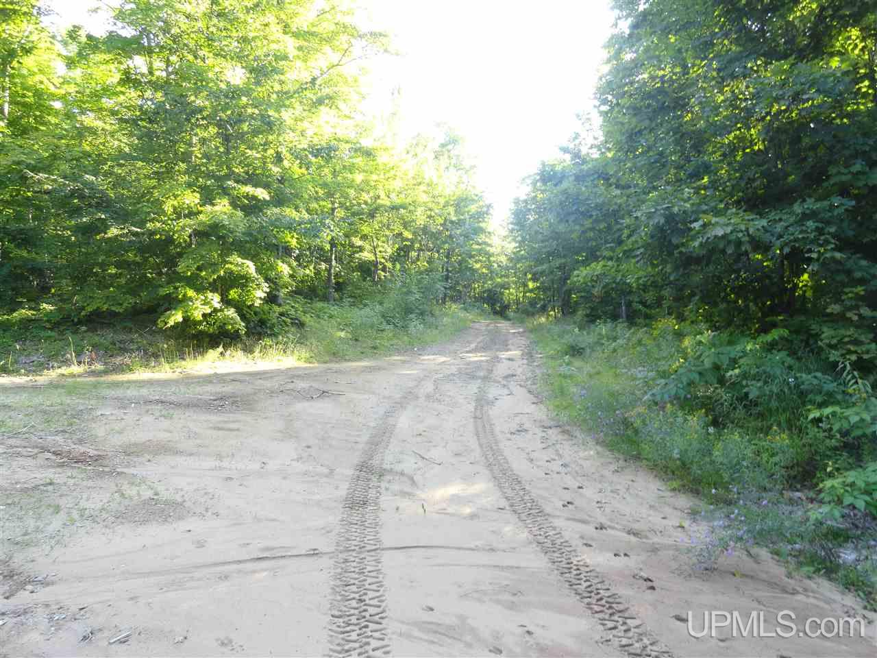 80 NORTH Off Co Road Ishpeming, MI 49849 - Photo 10 of 19