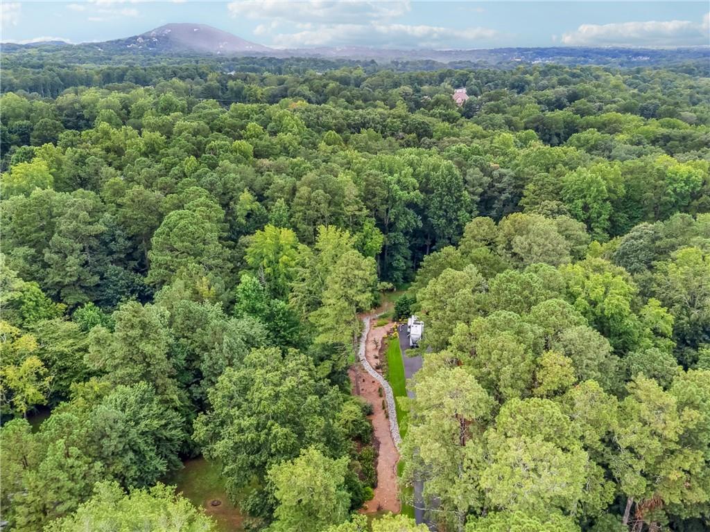 3701 Shallowford Road Marietta, GA 30062 - Photo 43 of 49 a view of a lush green forest with trees and some houses