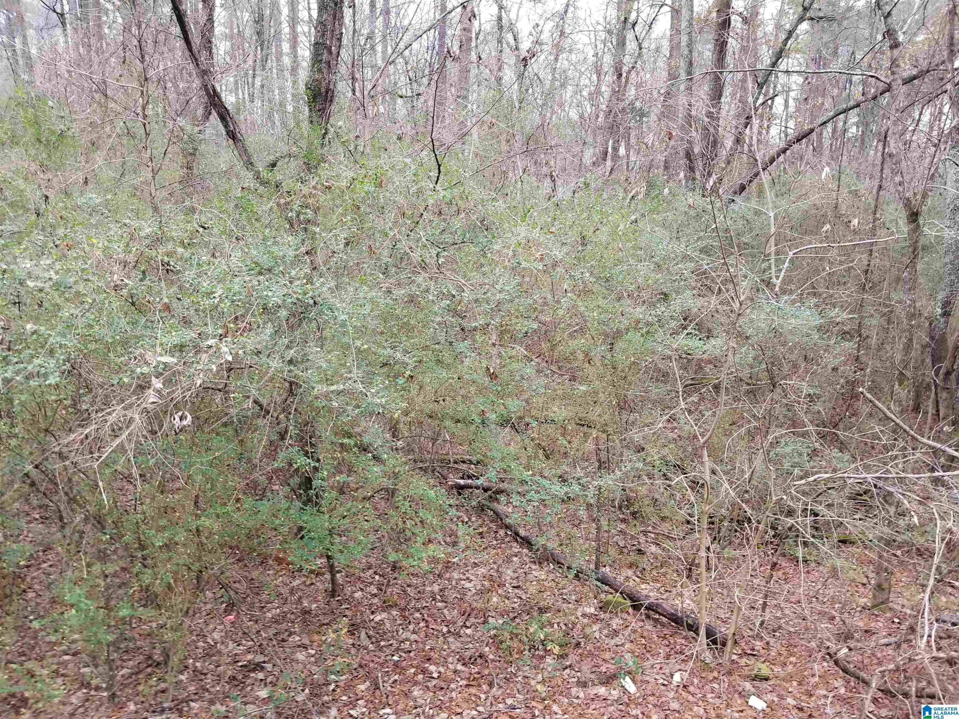 7701 Faucett Cut-Off Road, Unit 1 016 Pinson, AL 35126 - Photo 3 of 6 Gallery Image 3