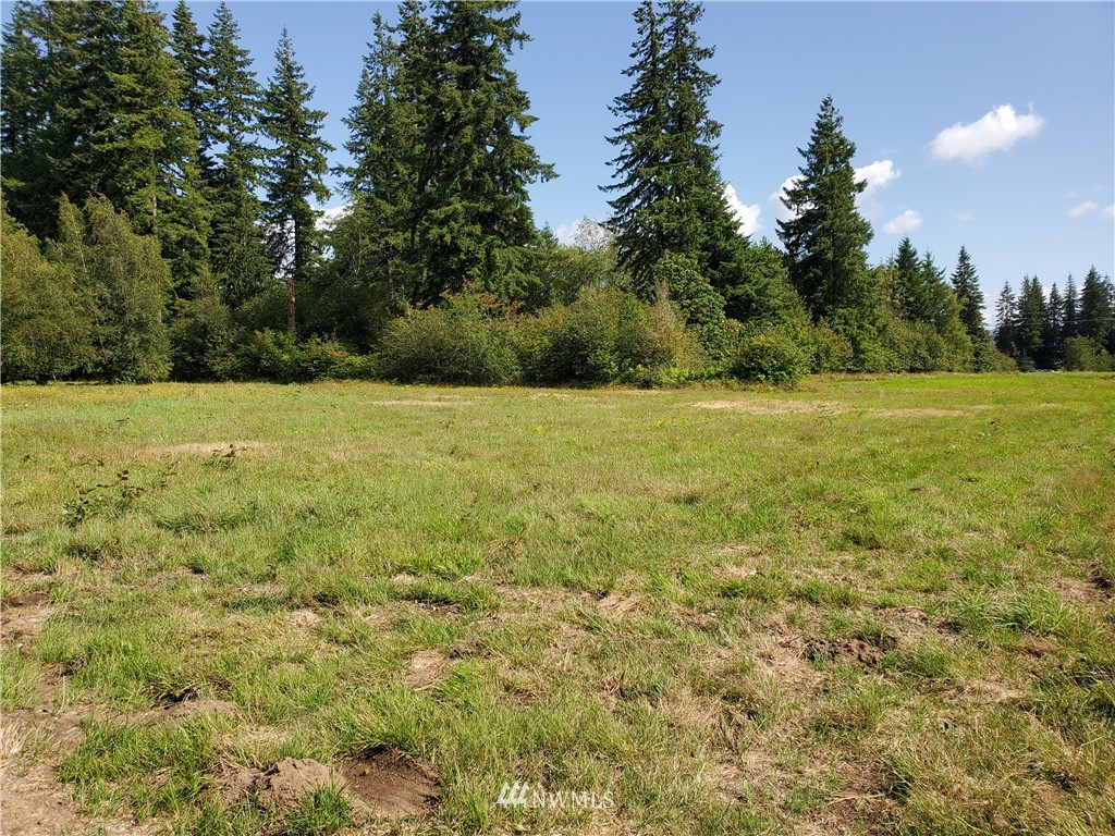 12 Hurd Road Elma, WA 98541 - Photo 1 of 11 Gallery Image 1