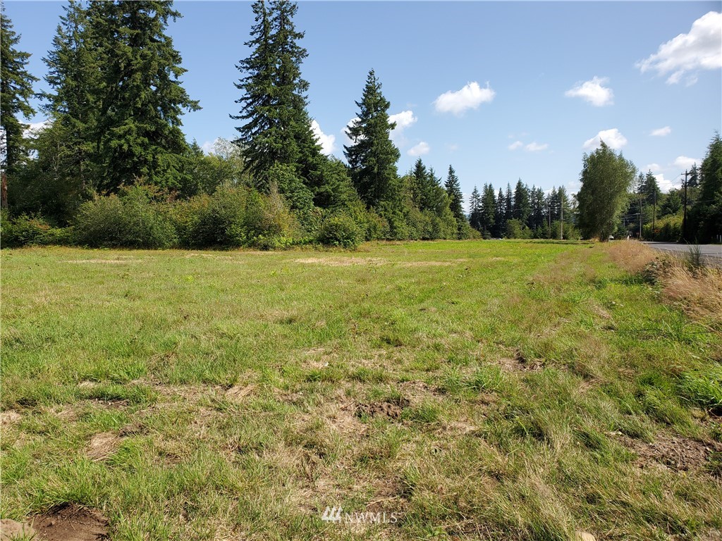 12 Hurd Road Elma, WA 98541 - Photo 2 of 11 Gallery Image 2