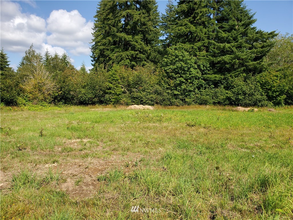 12 Hurd Road Elma, WA 98541 - Photo 3 of 11 Gallery Image 3