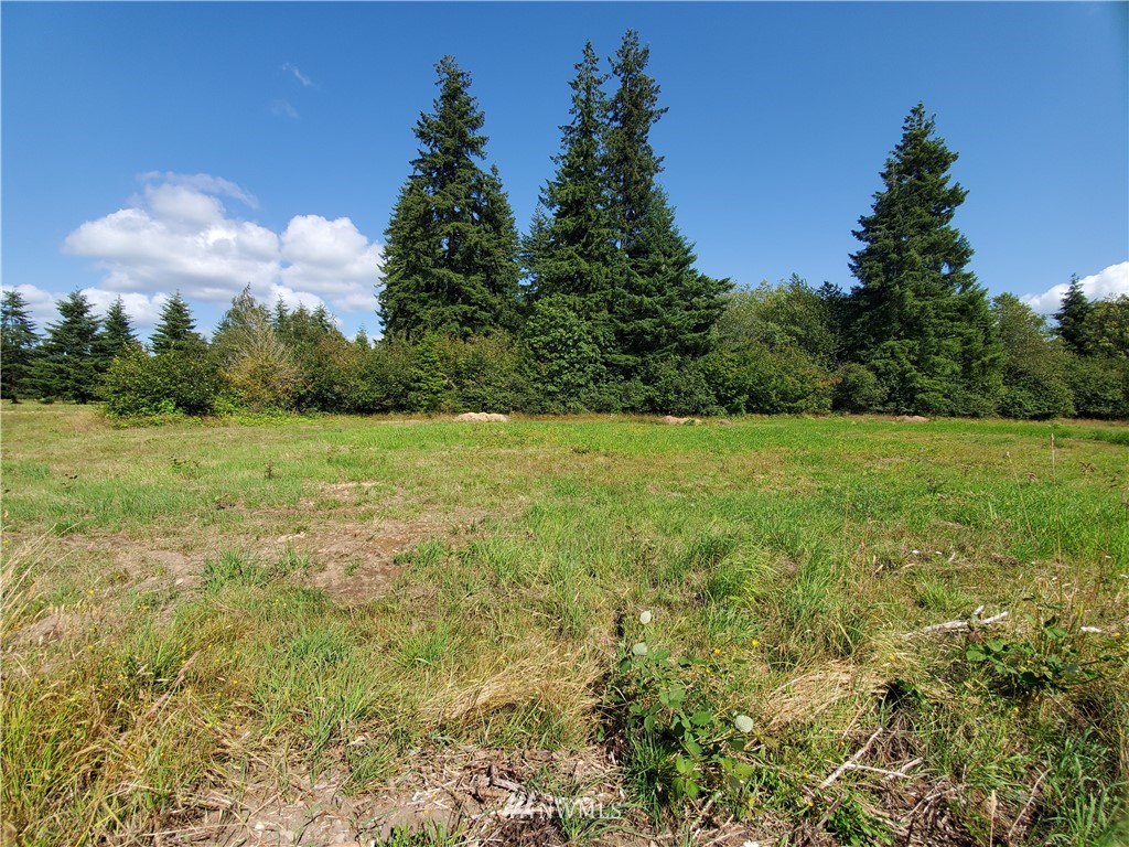 12 Hurd Road Elma, WA 98541 - Photo 4 of 11 Gallery Image 4