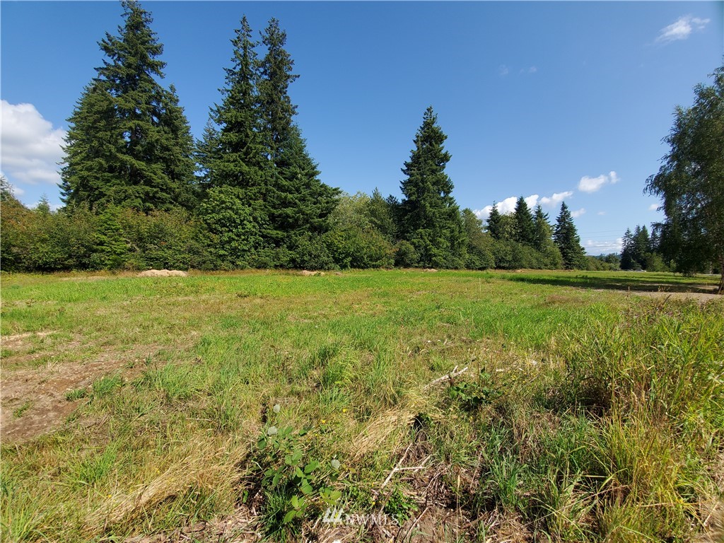 12 Hurd Road Elma, WA 98541 - Photo 5 of 11 Gallery Image 5