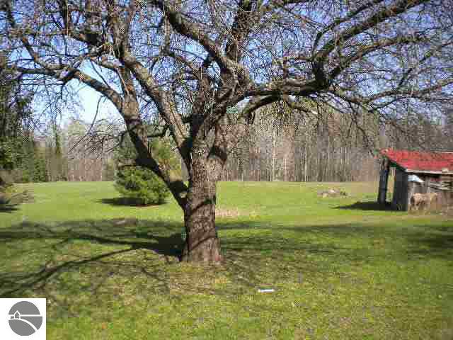 786 Laird Lake Road Hale, MI 48739 - Photo 10 of 12 1752175-9.JPG