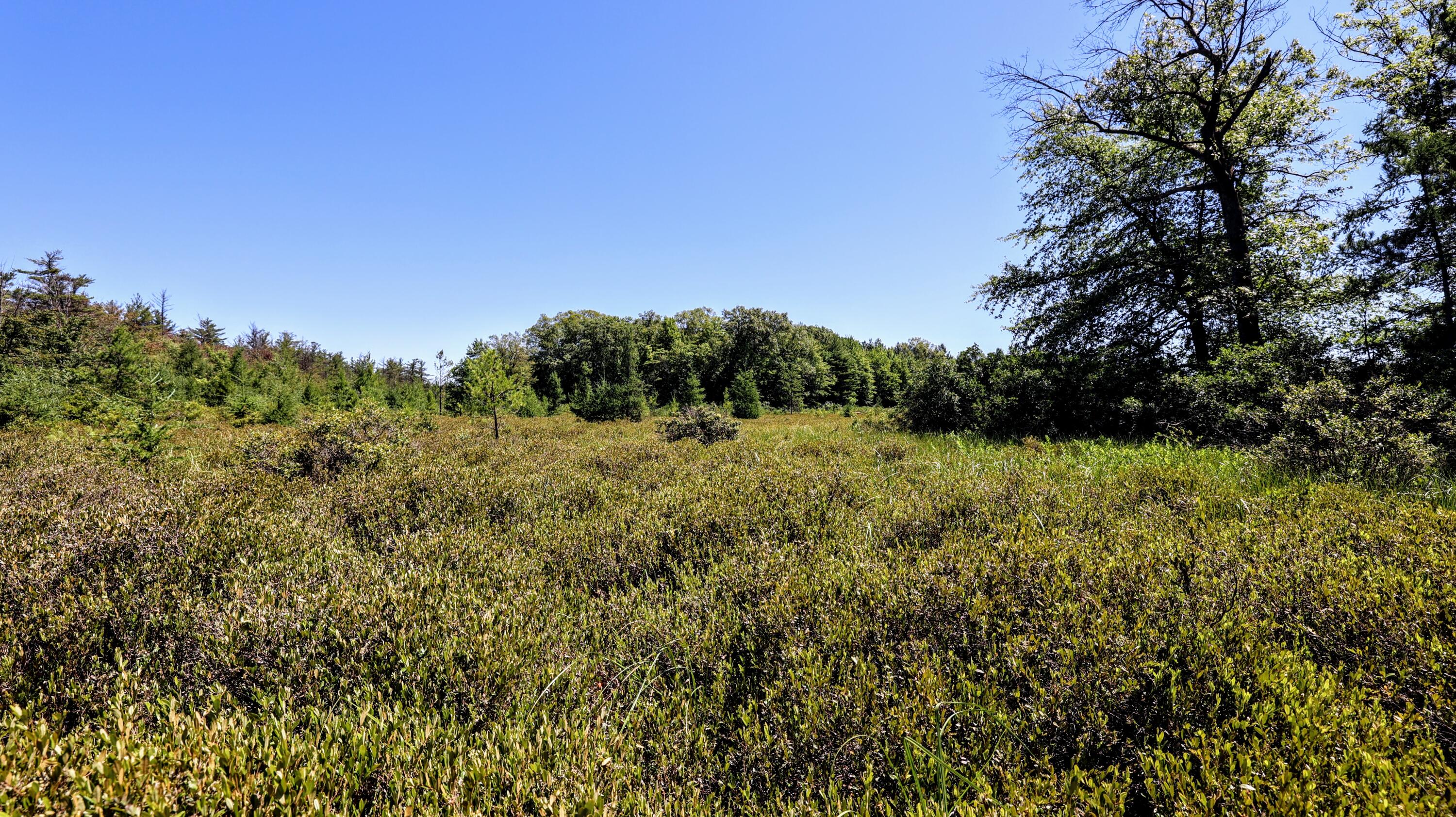 Vl Orchard Road Delton, MI 49046 - Photo 11 of 39 11
