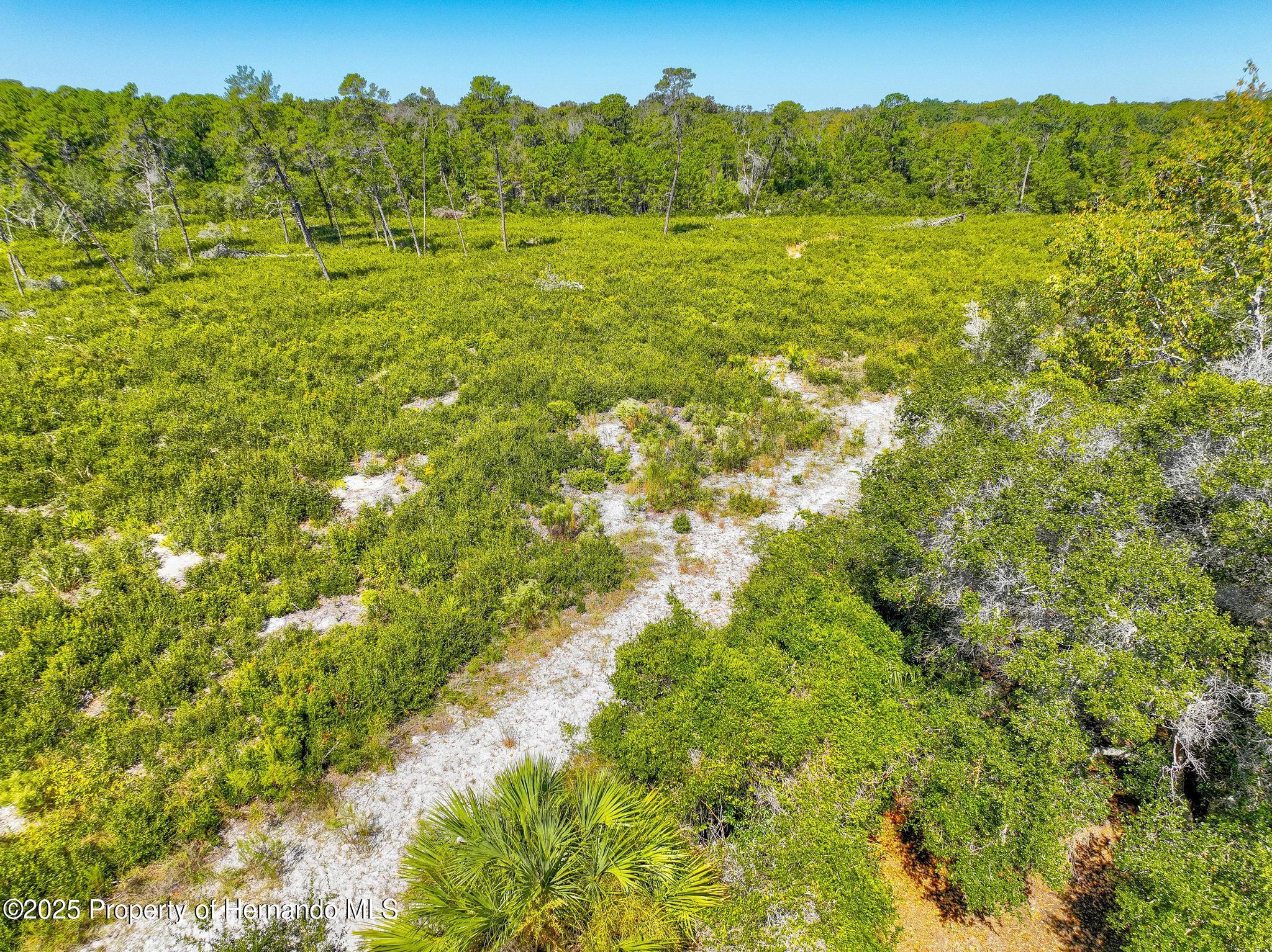 6502 River Run Boulevard Weeki Wachee, FL 34607 - Photo 40 of 46