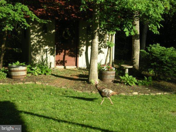389 Michters Road Newmanstown, PA 17073 - Photo 4 of 18 Gallery Image 4