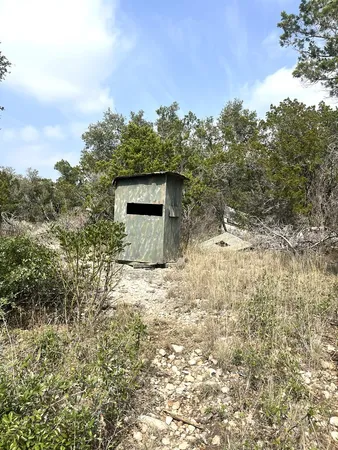 a backyard of a house with a yard and garage