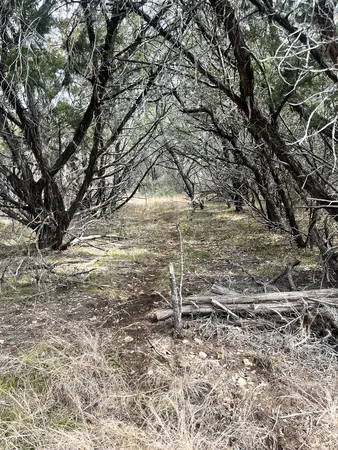 a view of a yard with lots of green space